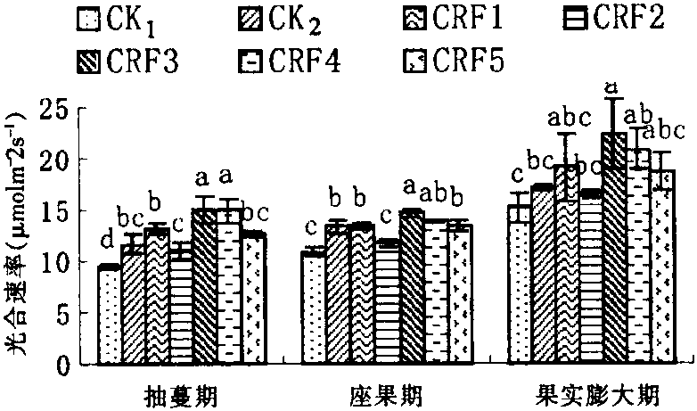 控釋肥料對旱砂田西瓜產(chǎn)量、品質(zhì)及養(yǎng)分利用率的影響